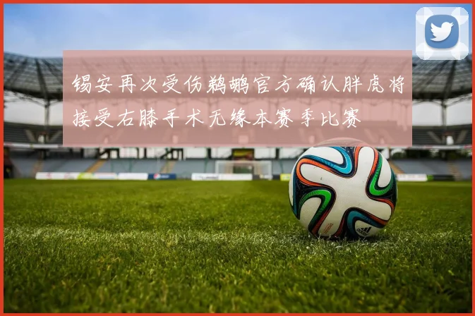 锡安再次受伤鹈鹕官方确认胖虎将接受右膝手术无缘本赛季比赛