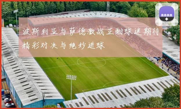 波斯利亚与萨德激战正酣球迷期待精彩对决与绝妙进球