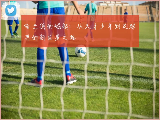 哈兰德的崛起：从天才少年到足球界的新巨星之路