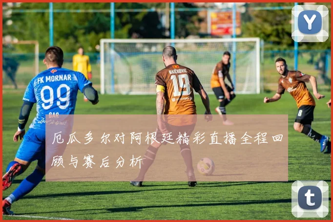 厄瓜多尔对阿根廷精彩直播全程回顾与赛后分析