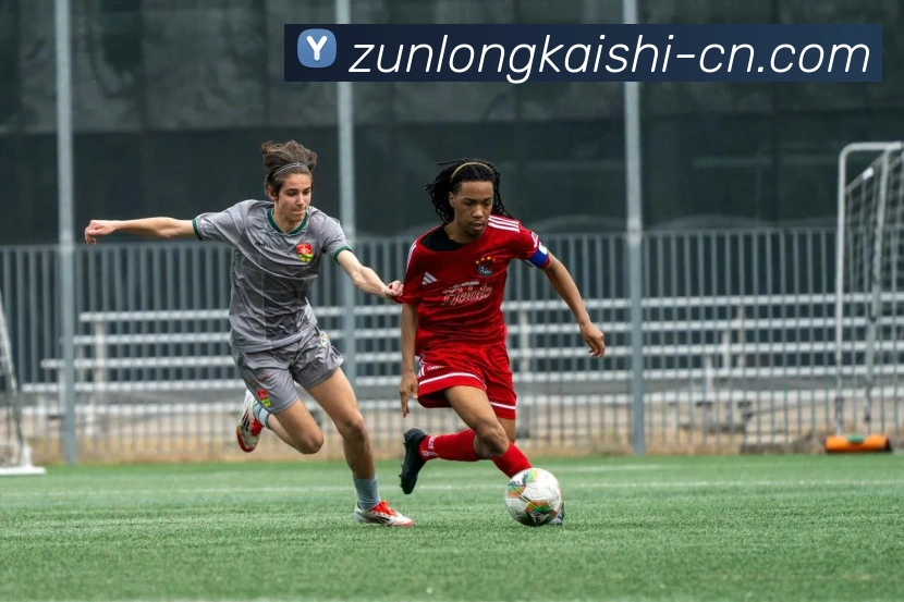 尊龙凯时发展历程